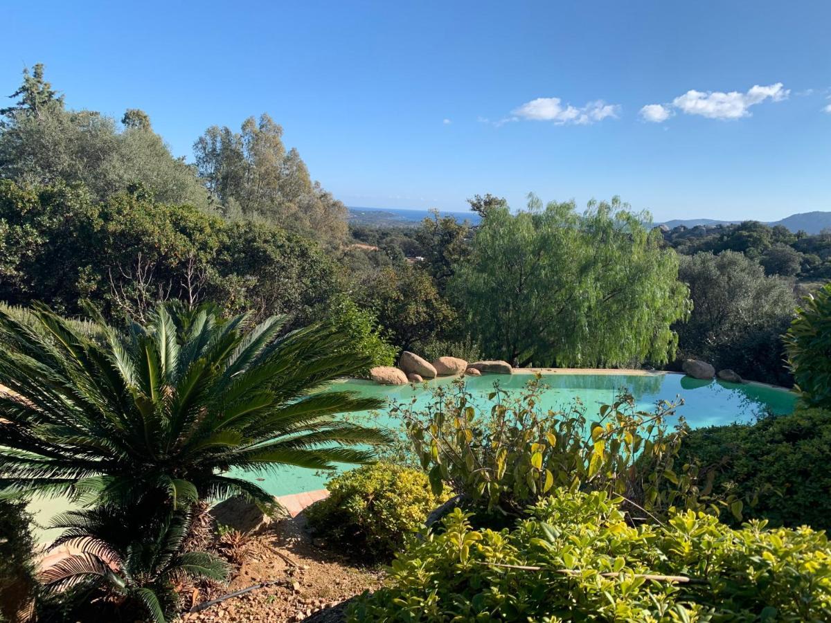 Coin Exotique Villa Casaeva Porto-Vecchio  Kültér fotó